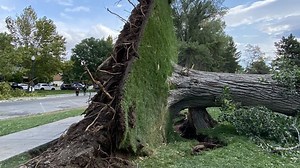 GALLERY: Aftermath from hurricane-force windstorm in Utah
