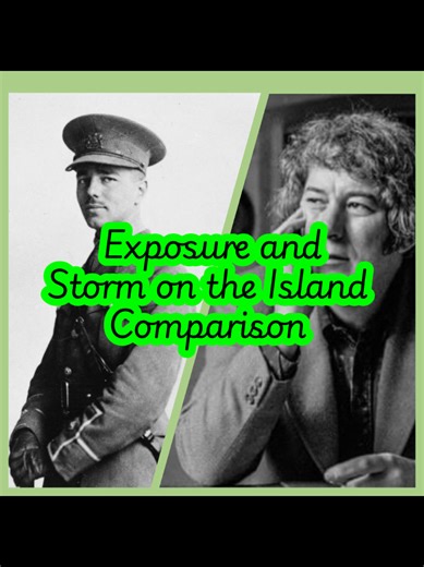 Part 3 of the AQA Power and Conflict Poetry comparison series. This video compares Wilfred Owen's Exposure with Seamus Heaney's Storm on the Island. Multi quotation analysis focusing on the theme of the power of nature. Language analysis, structure, context - it's all here. #poetry #war #Power #exposure #storm