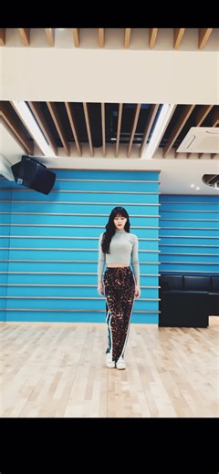 TWICE Momo Yes or Yes Fancam Highlights