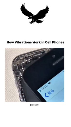 Info Hubs on Instagram: "The video explains how vibration works inside a mobile phone in a clear, step-by-step visual way. It begins with a close-up shot of a smartphone with its back cover partially removed, allowing viewers to see the internal components. Text on the screen introduces the topic, focusing specifically on the vibration mechanism used in cell phones. As the video continues, the camera zooms in on a small vibration motor located near the bottom of the phone. The narrator or on-scr