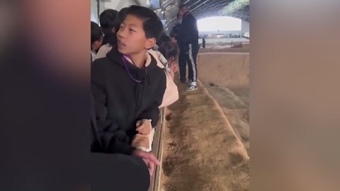 Terracotta Army prankster seized by police over photo stunt