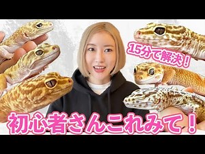 【レオパ飼育】Youtubeだけで勉強するのは危険です⚠️！