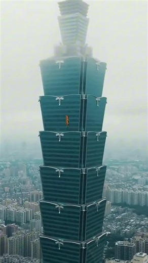 橘貓徒手攀爬台北101驚豔群眾