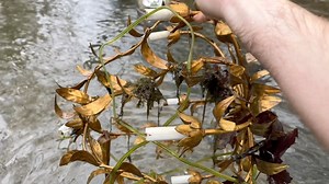 Strange Discovery made in Riverbed by Treasure Hunters mudlarking for Antique Bottles! This week we head back to water to save some history! You never know what will wash up after a flood and we make several century old finds along with some nostalgia that ended up in this river bottom. River treasure hunting has never been so fun! #rivertreasure #history #mudlarking | Adventure Archaeology And Southern Diggers