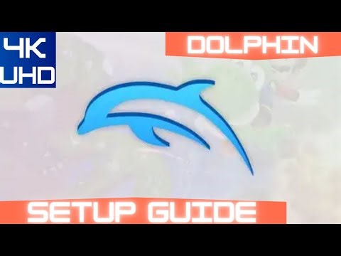 dolphin setup guide 2025