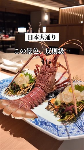 ヨコチュー│横浜中華街グルメ&お出かけ情報 on Instagram: "関西の名店が、横浜にオープン🦞...詳細👇 気になったら「保存」がおすすめ！ 神奈川県庁の12階、 横浜の夜景を一望できる 和食レストランで 伊勢海老を贅沢に堪能！ 招福コースでは、 活造り、中納言焼、甲羅揚げ、 お吸い物、海苔茶漬けまで 計11品で伊勢海老を味わい尽くす 感動の連続です。 特に活造りは、まだ動くほど新鮮で プリップリの食感と ほのかに広がる自然な甘みが絶品。 名物の中納言焼は、 特製マヨネーズとトマトベースのソースで 焼き上げられた逸品で ここでしか味わえない美味しさ✨ 夜になると船の灯りが水面に映り まさに横浜らしい夜景を楽しめる ロケーションも最高です。 締めの海苔茶漬けまで 伊勢海老がふんだんに使われ 最後まで贅沢な余韻に浸れます。 記念日や大切な人との特別な日に ぜひ訪れてほしいお店です。 ▼注文したメニュー ・招福コース ▼今回紹介した場所 ・横浜中納言 日本大通り ▼お店のアカウント @chunagon.iseebi 📍住所 横浜市中区日本大通5-1 神奈川県庁東庁舎 12階 