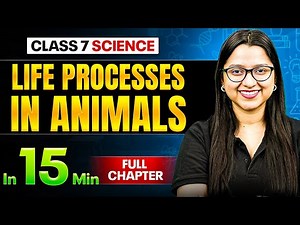 Life Processes in Animals Science Class 7 || Complete Chapter In 15 Minutes 🎯