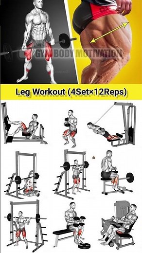 Day-30/most effective Leg Exercise 🔥