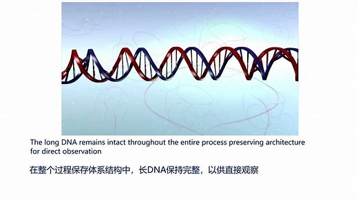 Bionano基因组分子图谱技术