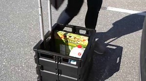 Watch Quik Cart Two-Wheeled Collapsible Handcart with Black Lid Rolling Utility Cart with seat heavy du... on Amazon Live