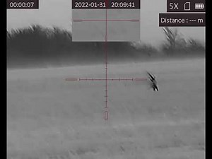 AGM VARMINT LRF TS50-640