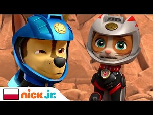 Psi Patrol | Chase ma katar! | Nick Jr.