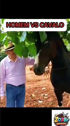 Homem vs Cavalo ...
