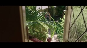 Nicholas' story is just one of thousands more. The number of foster kids in Australia has doubled in the last 10 years to total more than 43,000. Help us to transform these children's lives so they too, can reach their life potential like Nicholas. | The Pyjama Foundation