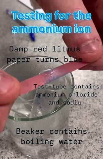 Testing for the ammonium ion #chemistry #science