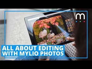All About Editing with Mylio Photos
