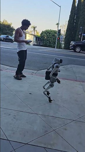 Is this Tesla's new CyberDog project? The pet dog for Optimus Robot was spotted in Los Angeles.