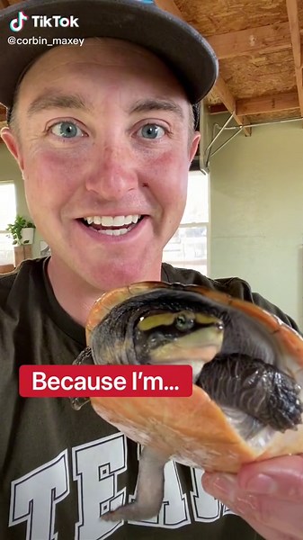 Dirty Turtle Tank Cleaned In 60 Seconds!!! #JBLGreekOut #turtle #turtletok #petturtle #iliketurtles #redearedslider #sideneckturtle #turtlepond #foryo