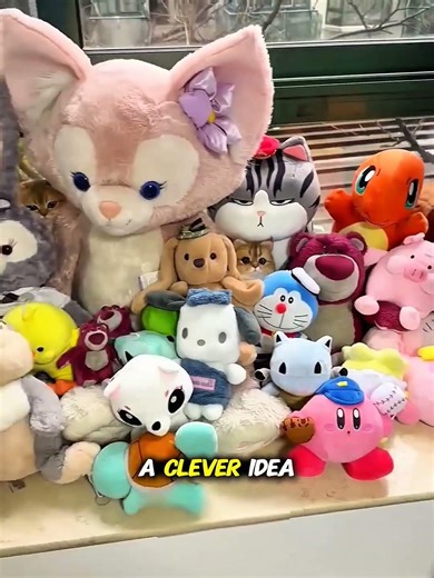 The Owner Played Hide and Seek with His Cats 😍🐱