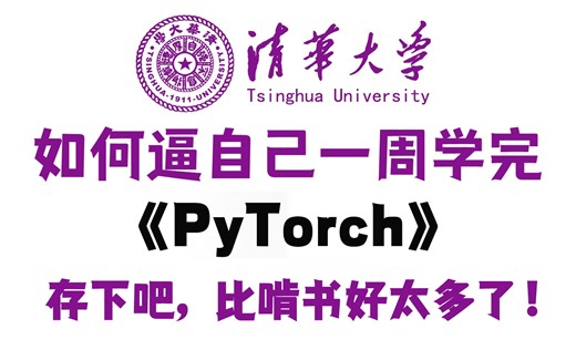 【整整400集】全B站最用心的PyTorch零基础入门全套教程，2024最新版，清华大佬强力打造！带你7天吃透深度学习！