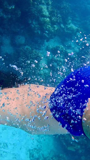 En nuestro nuevo video, acompaña a JuanSa García mientras hace snorkeling en el hermoso arrecife de West Bay, disfrutando de las increíbles instalaciones del Hotel Henry Morgan. 🌊🐠 ¡Sumérgete con nosotros y descubre la magia submarina de Roatán! 🏝️✨ #HenryMorganHotel #Snorkeling #WestBayReef #Roatán #AventuraSubmarina #ParaísoTropical #JuanSaExplora | HM Resorts, Roatán