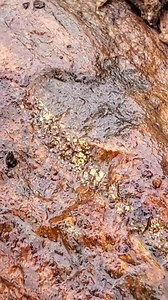 Jackpot??? #goldmining | Mining Zimbabwe