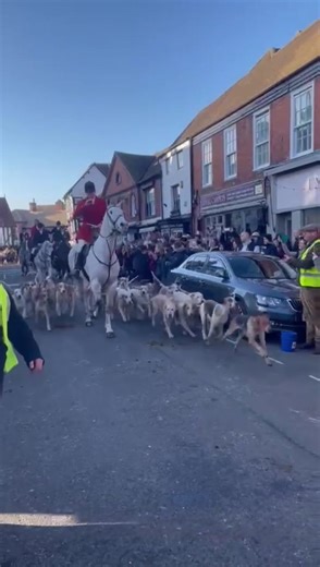 Boxing Day Meet 2025 … proud to be part of the field today 📯🐎 #trailhunting #boxingday #newent #countrysidelife #tradition