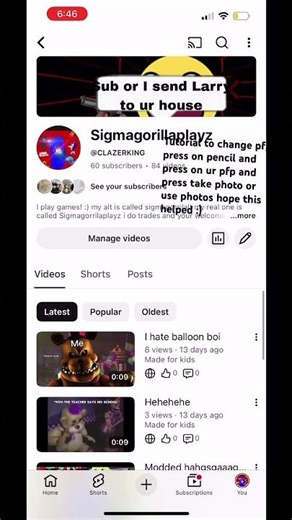 Tutorial to change pfp