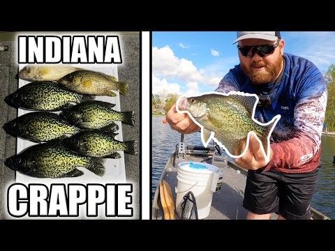 Fishing Big Indiana Crappie from Jon Boat!
