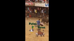 Brutal Bull Attacks Compilation