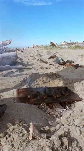 How to cook mutton chops and lamb tails with easy tips