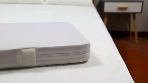 Bed Bug Waterproof Bed Protector Zippered Mattress Encasement