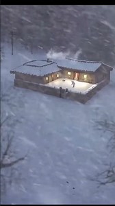 Snowstorm Serenity: Falling Snow & Whistling Winds for Relaxation