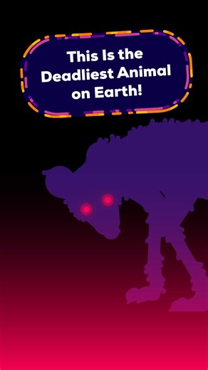 32K views · 695 reactions | Mosquitoes are an important part of our ecosystems, but we can't ignore the fact that they also spread many diseases. Still, we might be able to use tools such as CRISPR-Cas9 and "gene drive" to modify their DNA in a way that could help us put these diseases under control. | Kurzgesagt | Facebook