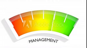 Concept of project management, organizing, controlling company resources.