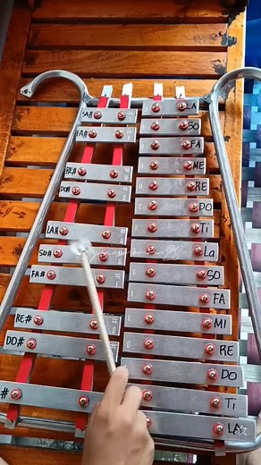 Lyre Instrument with Accessories Guide