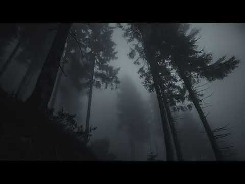 making beats with your loops pt 2