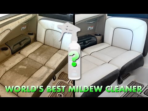 World's BEST Mildew Cleaner | Before & After