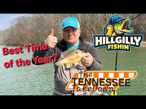 Winter Fishing! Is this the best season for big fish? Bluegill and Striper on the Tennessee River!
