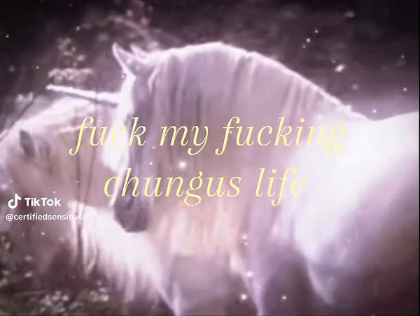 Understanding the Chungus Phenomenon