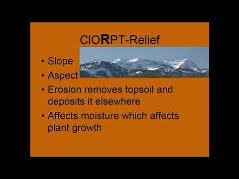 Soil Formation Factors - ClORPT