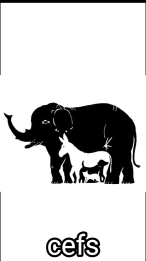 Combien d’animaux vois-tu sur cette image ? 90% des gens se trompent ! 🧠🐾#quiz#shortviral
