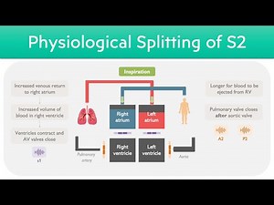 Heart Sounds | Physiological Splitting of S2