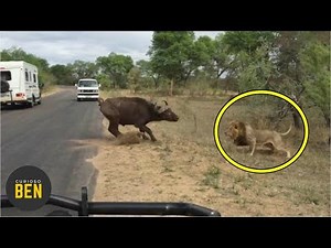 12 Increíbles Momentos Captados En Video Que No Podrás Creer