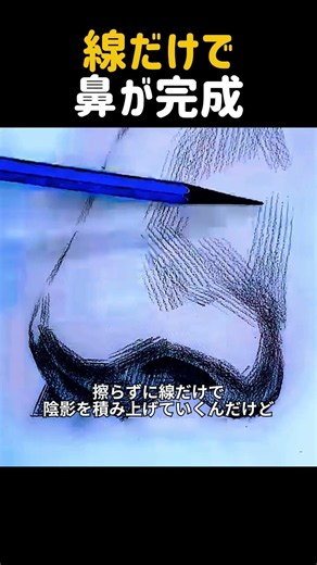 Complete Your Nose With Just Lines