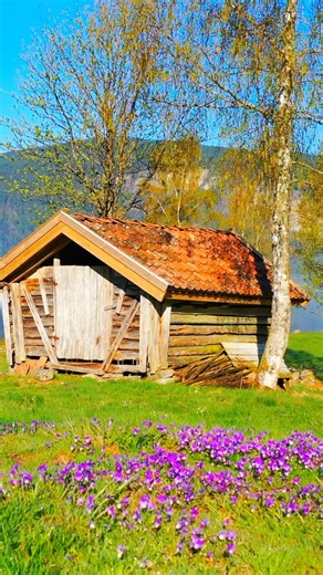 ⛰️🤩 Explore Sirdal this summer! A picturesque mountain region in south-western Norway! There, you can go on mountain walks, climb, go skiing, see wild reindeer, experience the spectacular scenery of the scenic route Suleskarvegen, and other nature-based activities! 📹 @visitsirdal | Visit Norway