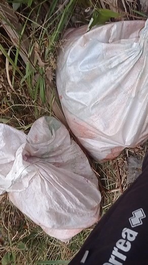 Exploring a Hidden Waterfall in the Mountainous Terrain