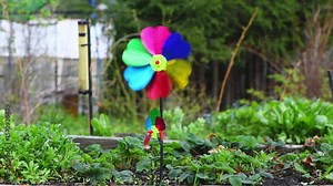Two colorful pinwheels with heart-shaped petals are spinning in the gentle summer breeze, adding a touch of whimsy to a vibrant garden filled with lush greenery