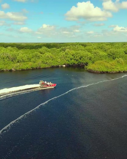 1.4K views | Make lasting memories in the Everglades on a thrilling Airboat Tour! Plus, watch a live alligator show and visit our Animal Sanctuary! | Captain Jack's Airboat Tours | Facebook
