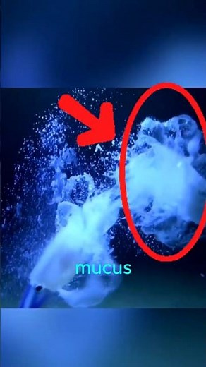 This Creature Glows in the Dark… And No One Knows Why 🌌🐙 #animalfacts #vampiresquid #seacreatures